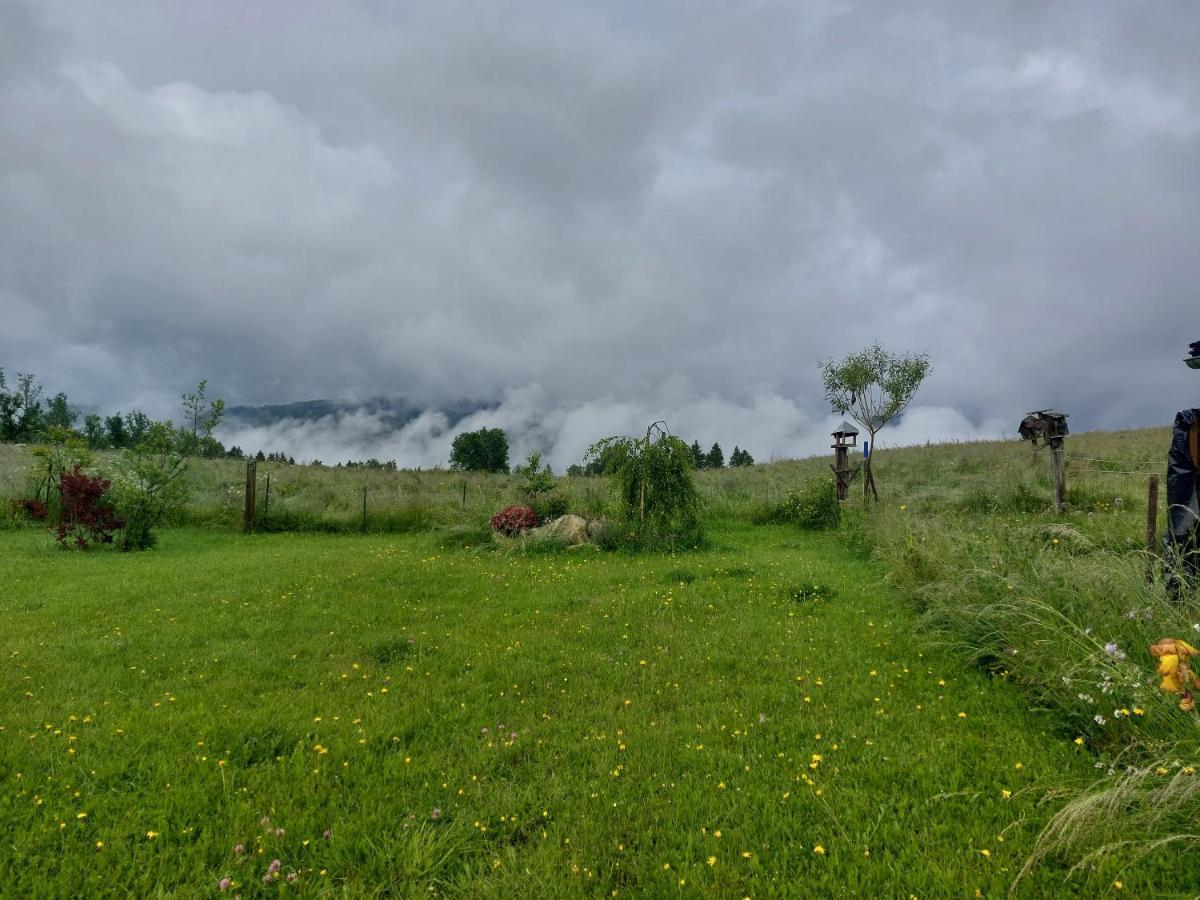 Petit Chalet Nature Les Rousses Exterior photo