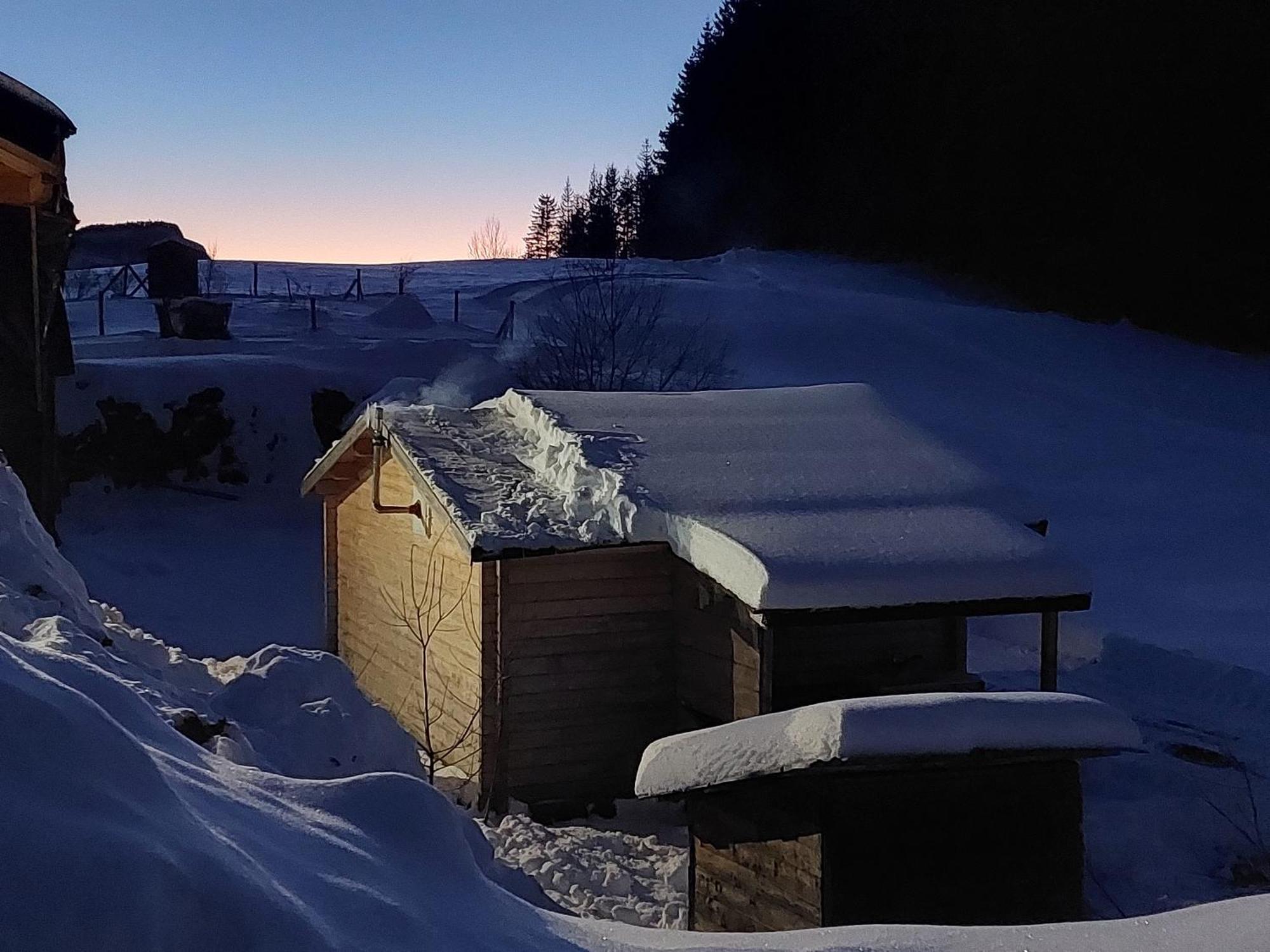Petit Chalet Nature Les Rousses Exterior photo